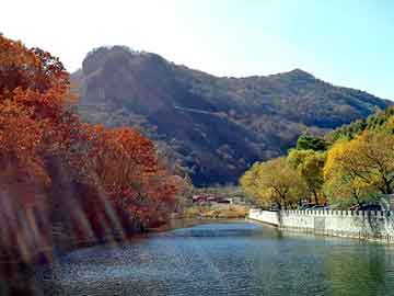 新澳天天开奖资料大全旅游团，倪妮 天涯